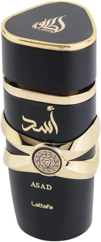 أسد أسود - Image 2